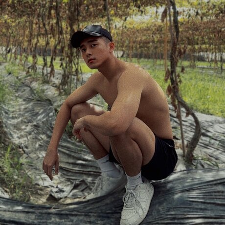 Rio_ schöne freie bilder