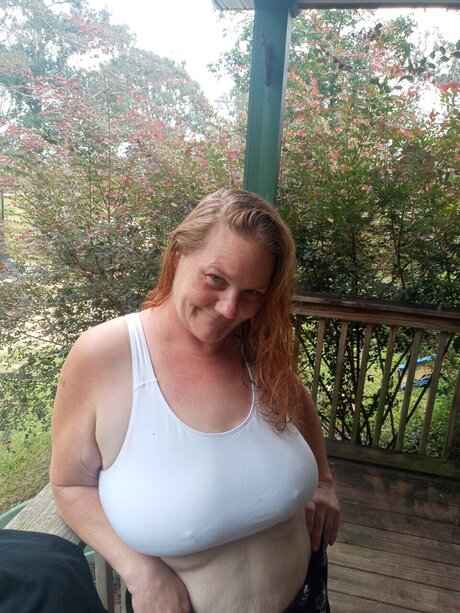 Tiger lily kostenlose hübsche bild