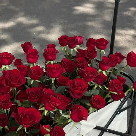 RedJeans model nackten foto