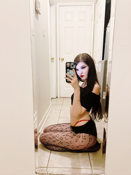 Skull bunny_ top freie bilder