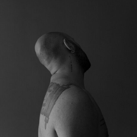 Bellini erwachsene top galerien