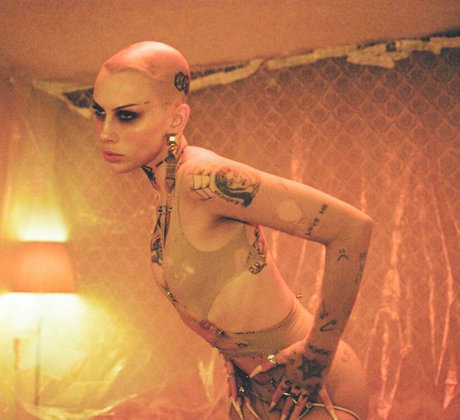 Siiickbrain heiße kostenlose foto