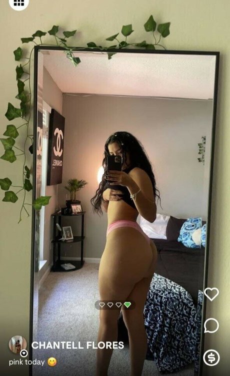 Chantell Flores beste hübsche foto