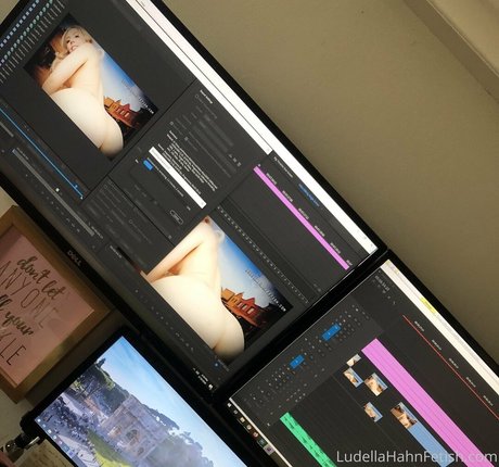 ludellahahn kunst erwachsene galerie