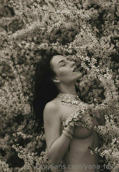 yanafoxy free top sex bild