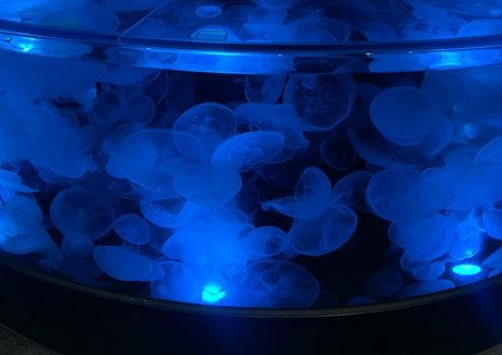 bunnycocoa freie nackte fotos