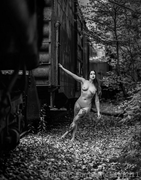 ripley1111 freie hd galerie