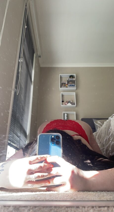 Rose petal hd kostenlose galerie