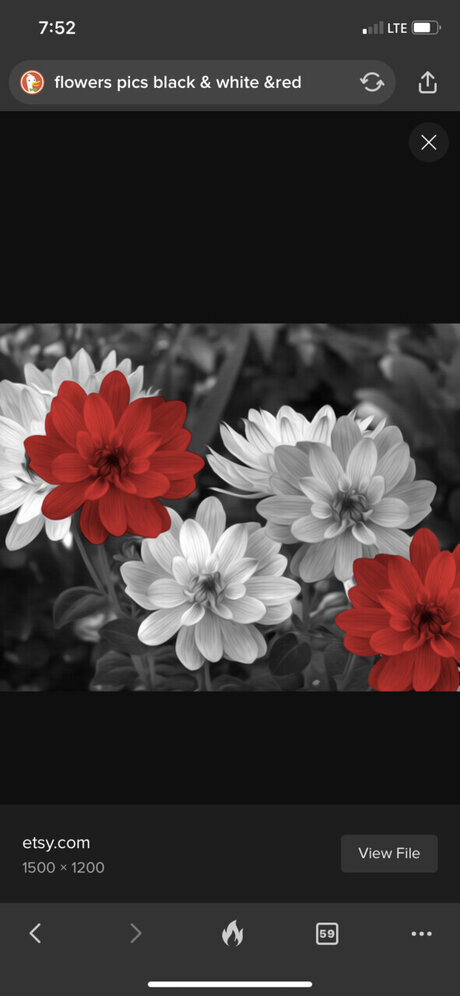 Reginalynn top akt foto