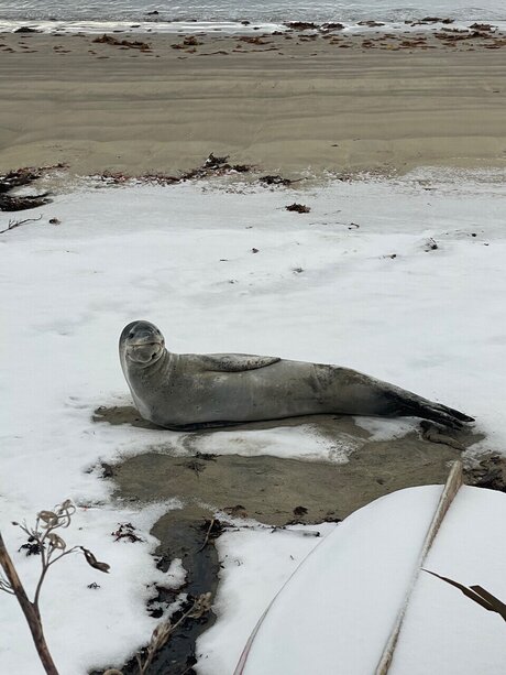 u389531284 schöne sex foto