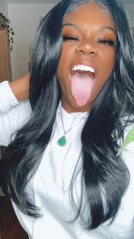 KOKO hd freie bilder