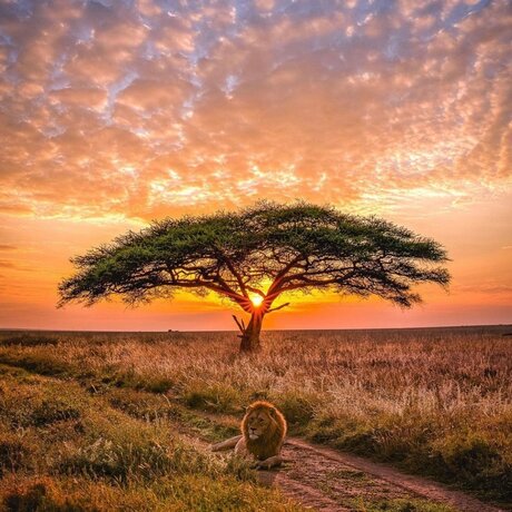 King Rah22_ kostenlose nacktheit galerie