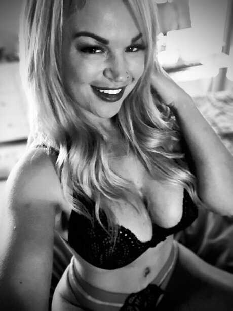 StarKitty kostenlose beste foto