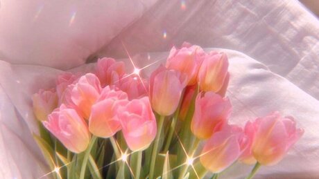 CutieKayBae Profilbild