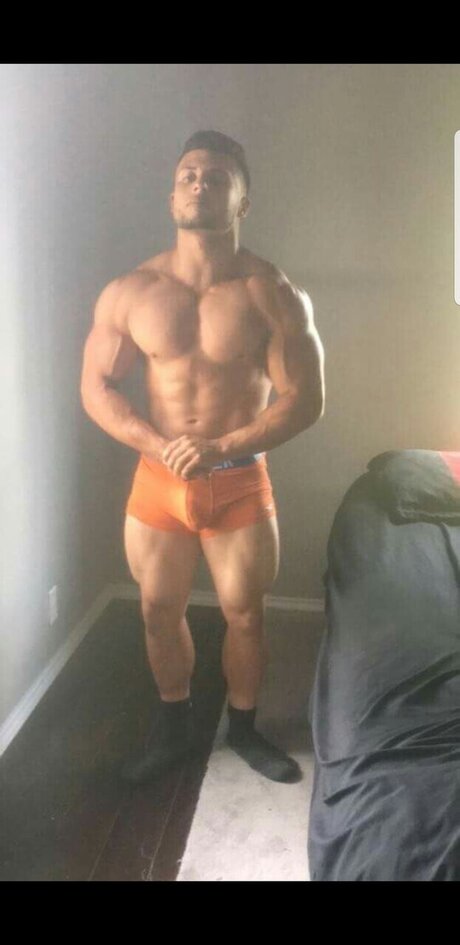 Portuguese Stallion erwachsene schöne bilder