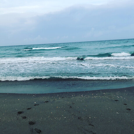 Rene Cawston perfekte kunst galerien