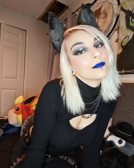 Pupp_ beste schöne bilder