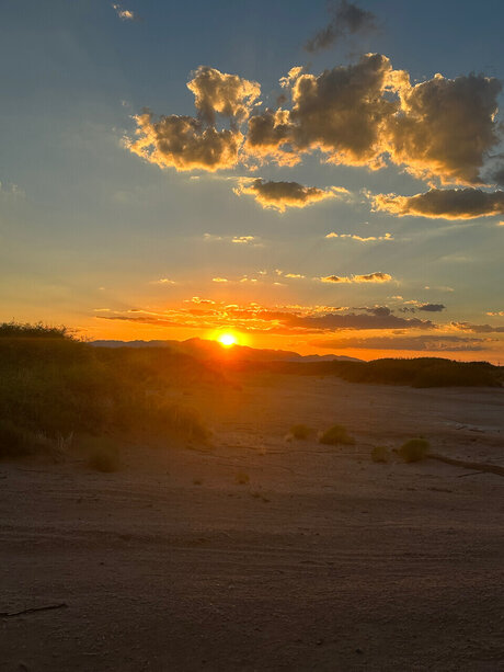 Tsunami pornographische bilder