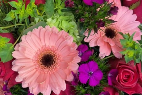 Kandyy_ sexy nette galerie