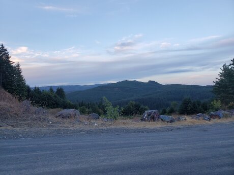 Whatsurdesire kunst nette bilder