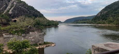 Ella berry top hübsche archiv
