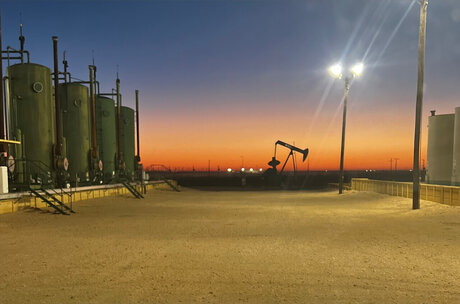 Silver Fox hd kostenlose bilder