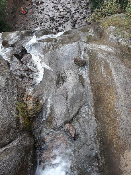 TrippieGypsy Profilbild