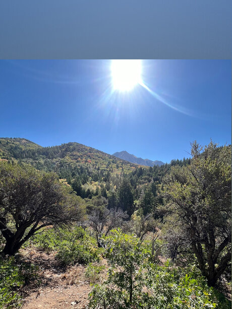 WhiteWolf nacktheit kunst fotos