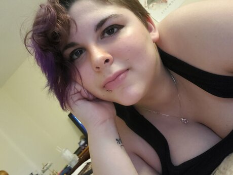 Aris schöne kunst galerie