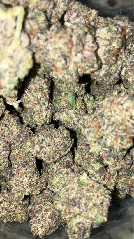 lesben fingern nur fans porno kunst archiv