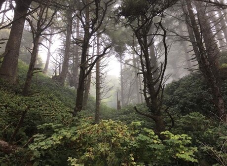 maddi atterton perfekte nackte fotos