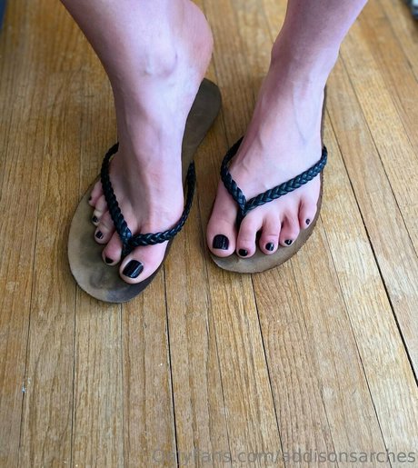 addisonsarches schöne kunst foto