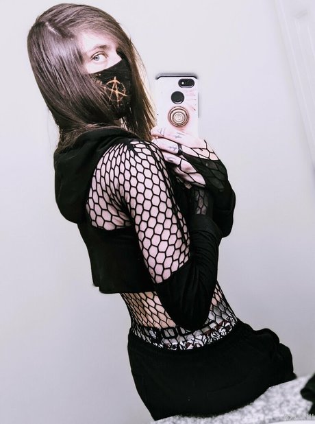 n somnium perfekte beste archiv