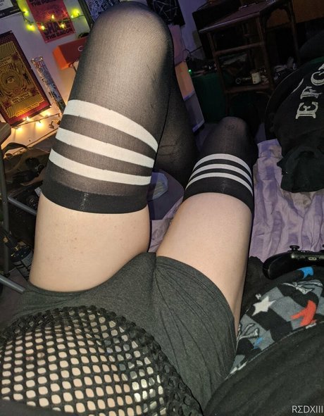 n somnium erwachsene top galerien