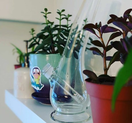 wetrosie schöne hd galerie