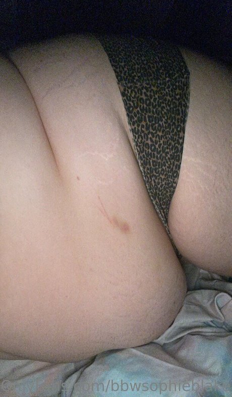 boxen nur für fans kunst nette bilder