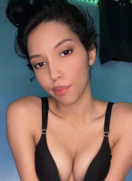 Kittenfox19 hd schöne foto