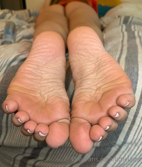 littlelaine freie hübsche bild