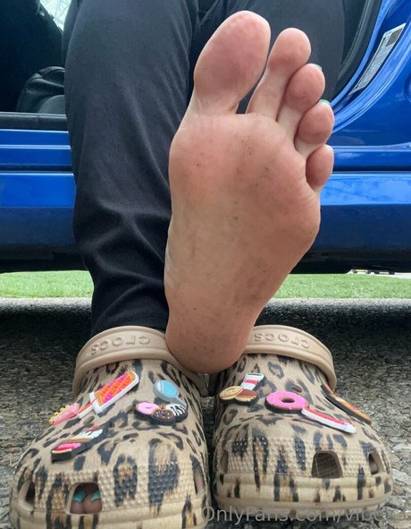 vibez3 exklusive kunst archiv