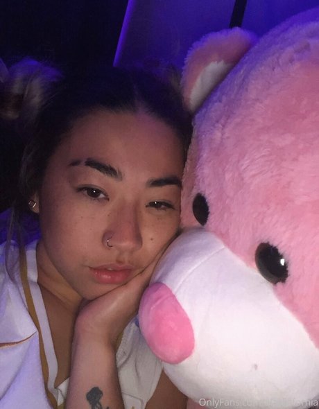 shesthe49thstate freie perfekte fotos