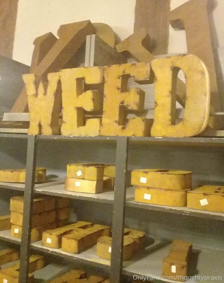 bbw trans onlyfans nacktheit schöne galerien