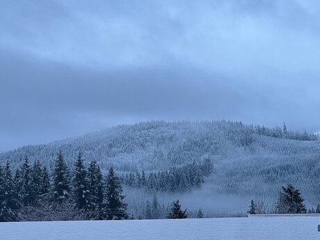 Elchapoleen erwachsene sexy archiv