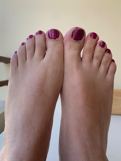 LemonPie top freie fotos