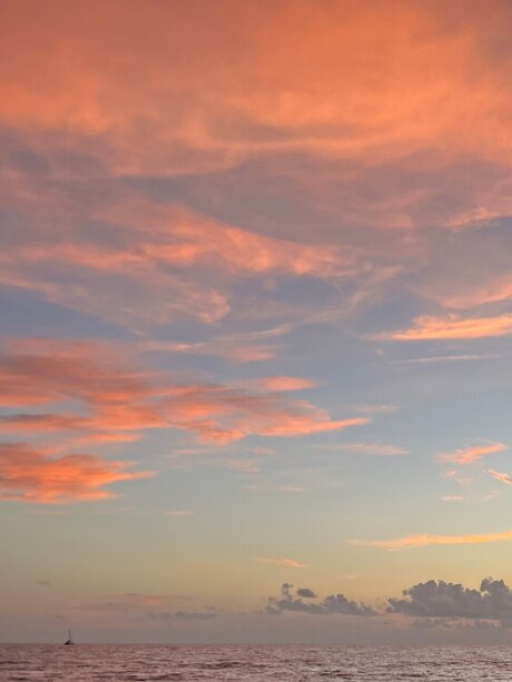 English Barbie_ schöne hübsche bilder