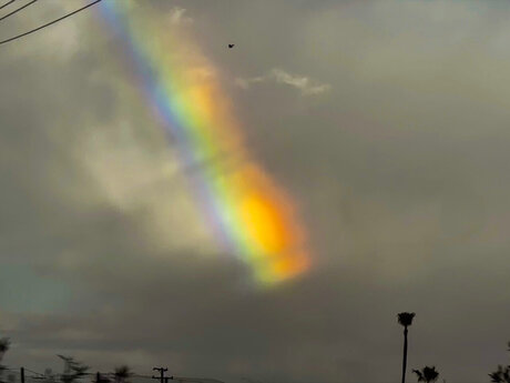 TheOne ATA kostenlose sex bilder