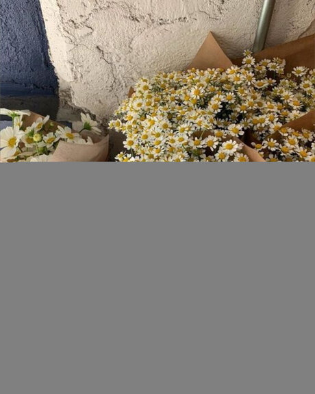 VIP ONFLYFEET_ hübsche xxx bilder