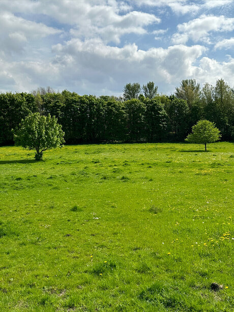 Naughty but Kinky_ sexy perfekte bilder