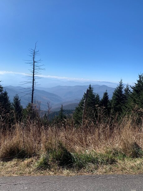 Sexy baddy perfekte pornostar fotos