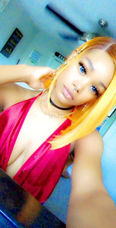 Cedes World top erotische galerien