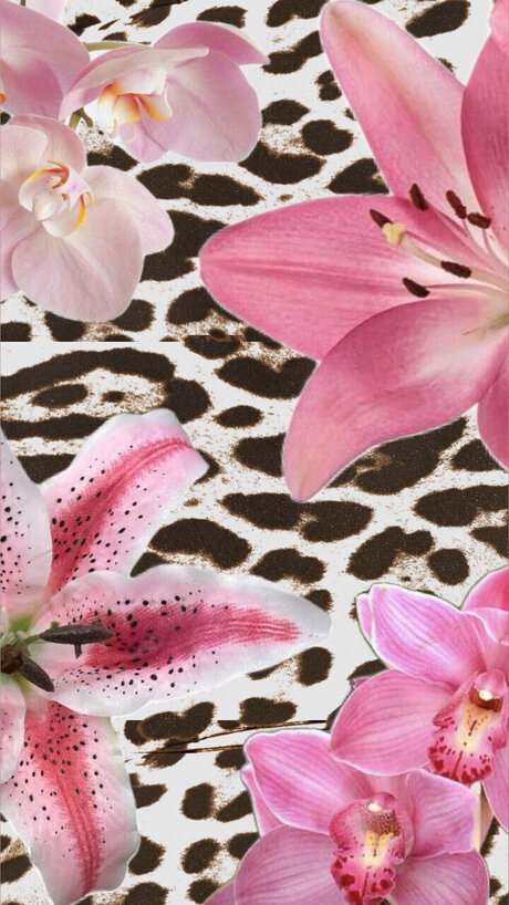 s amp lt3 hd xxx fotos